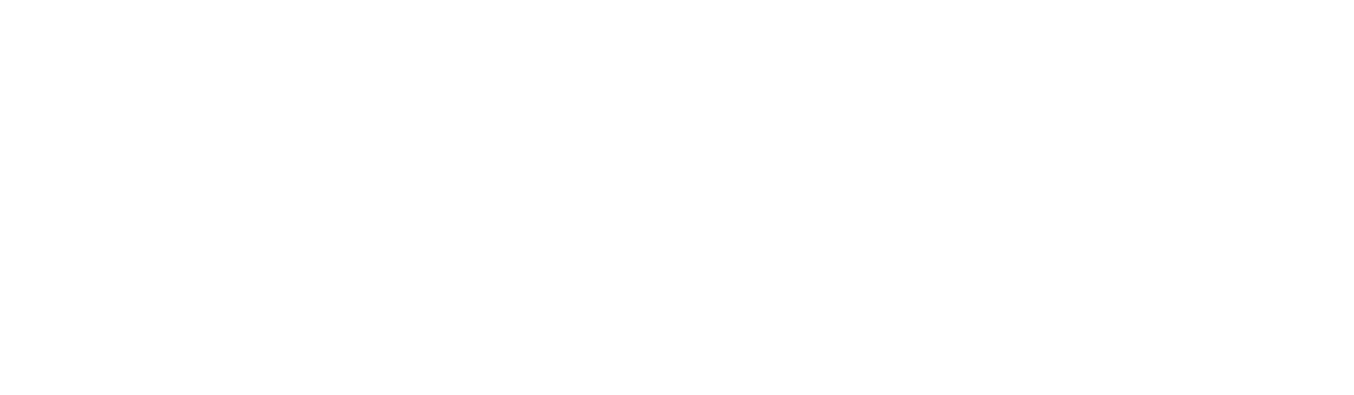 DevAccelerator